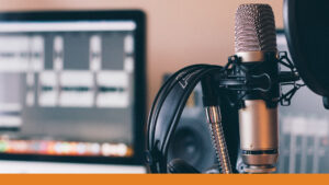 Read more about the article Podcast Series – Reformed Politics